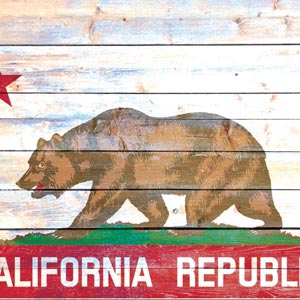 California Flag Light Wood Google Home Skin